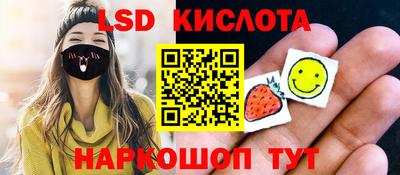 крисы Кулебаки